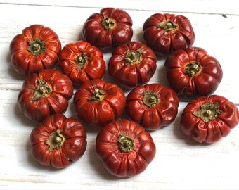 Può includere: Un gruppo di 12 piccole verdure rotonde di colore marrone rossiccio, simili a melanzane, con una consistenza rugosa. Le verdure sono disposte in cerchio su una superficie di legno bianco.