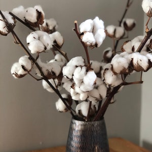 10 Balls Per Stem Cotton Flower Dried Cotton Stems Farmhouse