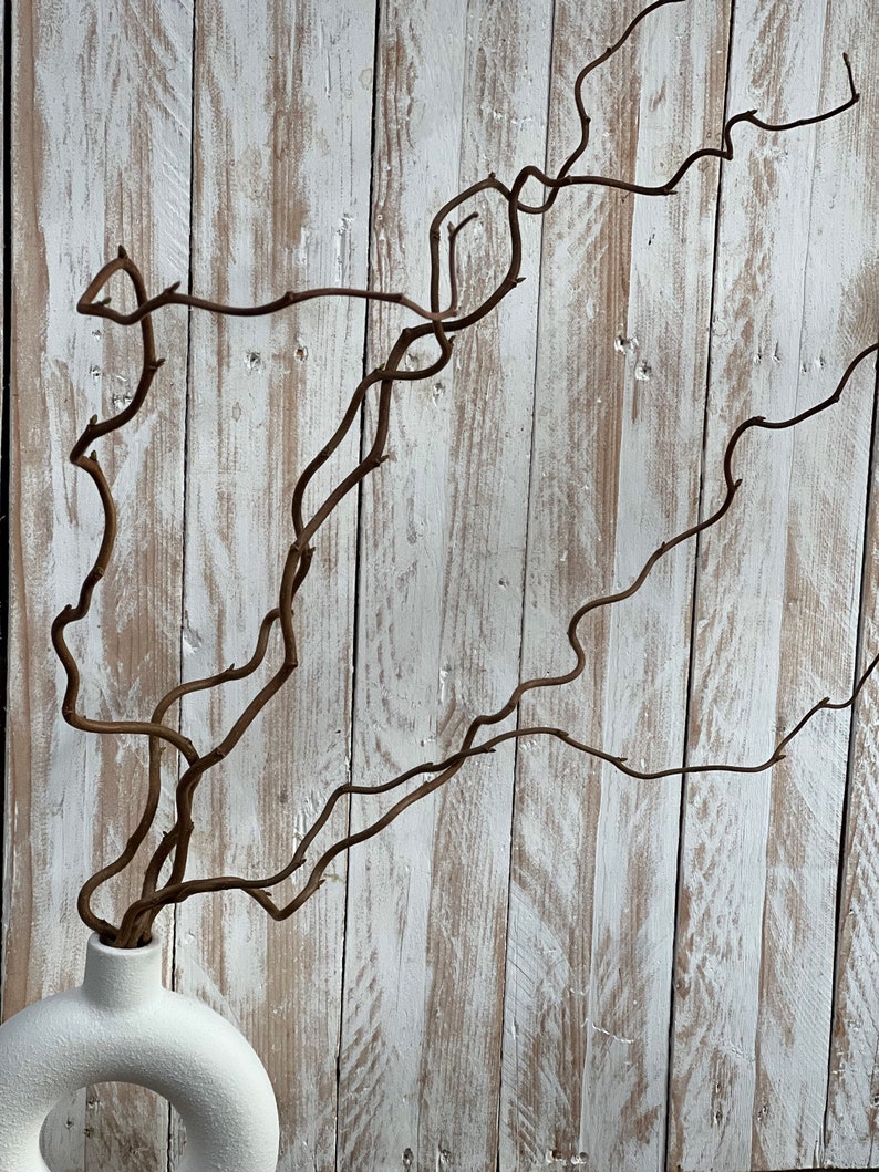 Contorted Willow Natural Corylus Twisted Hazel 60cm. - Etsy UK