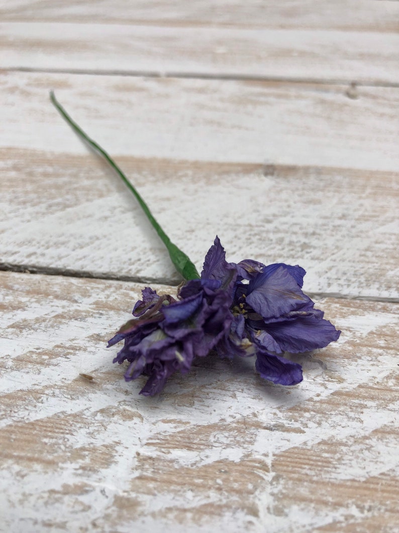 Dried Flower Hair Pins/Wires in shades of Blue, Purple and Lilac. Blue Larkspur
