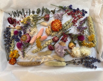 Può includere: Una collezione di fiori e foglie secche in vari colori, tra cui viola, rosa, giallo, arancione e rosso. I fiori sono disposti su una superficie bianca e includono lavanda, grano ed eucalipto.