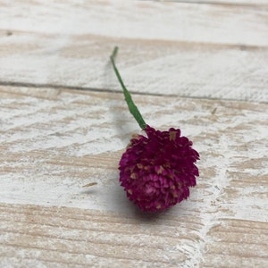 Dried Flower Hair Pins/Wires in shades of Blue, Purple and Lilac. Gomphrena