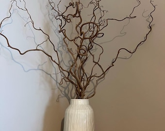 Twisted Corylus, Twisted Willow, Natural Hazel 60cm