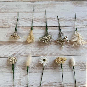 Dried Flower Hair Pins/Wires in shades of White.