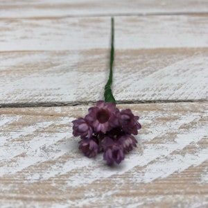 Dried Flower Hair Pins/Wires in shades of Blue, Purple and Lilac. Lilac Glixia