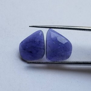 Könnte beinhalten: Zwei violette Amethyst-Edelsteine, jeder mit einer einzigartigen, unregelmäßigen Form, werden von einer Pinzette gehalten.