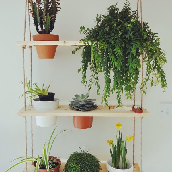 Reclaimed Pallet Timber Hanging Plant Wall