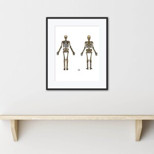 May include: A black framed print of two skeletons standing side by side. The skeletons are facing forward with their arms at their sides. The print is on a white background.