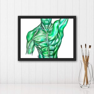 Surface Anatomy of Front-Vibrant Colors,Digital Hand Drawn Art, iPad Drawing, Anatomy Illustration, Medical Print, Anatomy Print