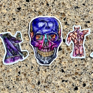 Pack of 5, Anatomy Stickers Holographic, Vinyl Stickers, Anatomy Art Hand drawn, hand made, set of 5 stickers, weatherproof Stanley yeti