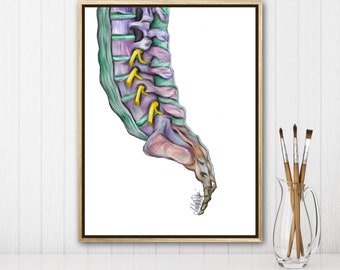 Sacrum-Vibrant Colors,Digital Hand Drawn Art, iPad Drawing, Anatomy Illustration, Medical Print, Anatomy Print, Doctor Gift, Chiropractor