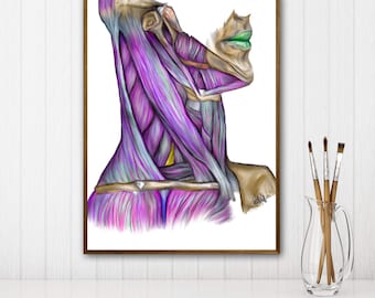 Muscles of neck lateral view-Vibrant Colors,Digital Hand Drawn Art, iPad Drawing, Anatomy Illustration, Medical Print, Anatomy Print