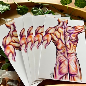 4 x 6 anatomy notecard print set of 5 thank you note, medical gift, anatomy bundle, anatomy flash card, study note -Muscles of back