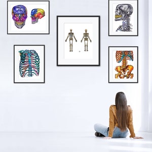 Set of 5 Skull Vertebrae Anatomy PRINTS, Digital Drawings, Vibrant Color, Medical Art Hand Drawn Art Muscle Massage Therapy Gift Doctor Gift