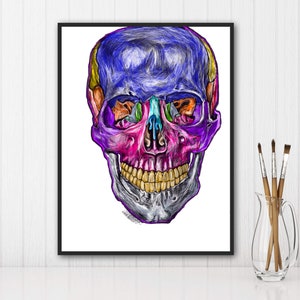 Anterior View of Skull, Medical Art, Digital Drawing, Anatomy Print, Hand Drawn Art, Vibrant Color, ChiropractorGift, Doctor Gift