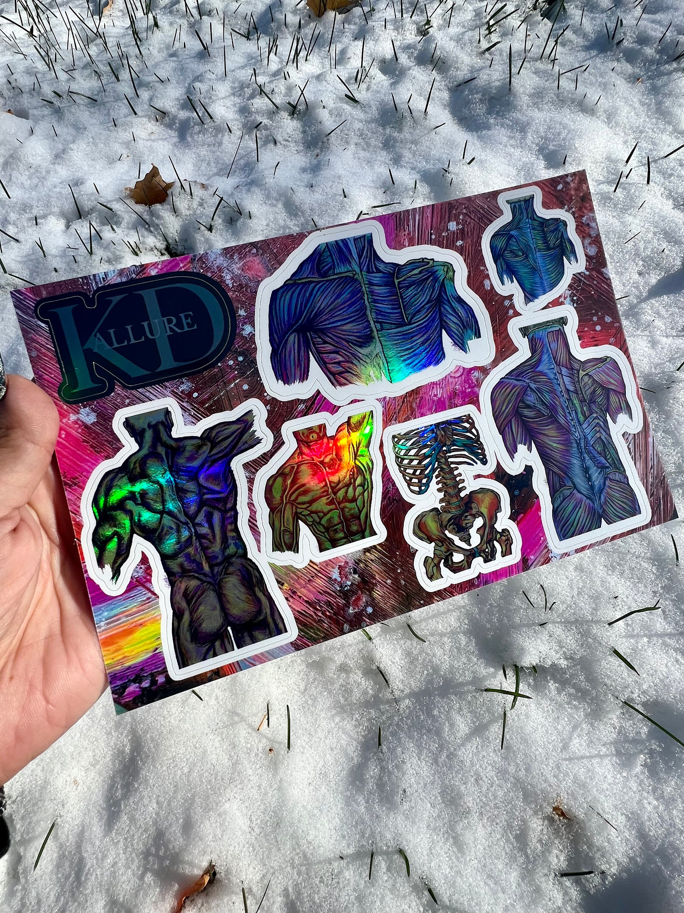 Anatomy Sticker - Sticker Pack Sticker Sheet, Skeleton, Anatomy ...