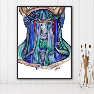 Muscles of neck, anterior view-Digital Hand Drawn Art, iPad Drawing, Anatomy Illustration, Medical Print, Anatomy Print, Vibrant Colors