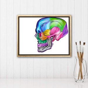 Lateral view of skull- Digital Hand Drawn Art, iPad Drawing, Anatomy Illustration, Medical Print, Anatomy Print, Doctor Gift