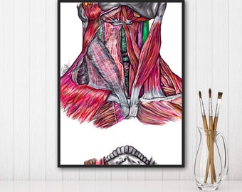 Muscles of Neck-Vibrant Colors,Digital Hand Drawn Art, iPad Drawing, Anatomy Illustration, Medical Print, Anatomy Print, Doctor Gift