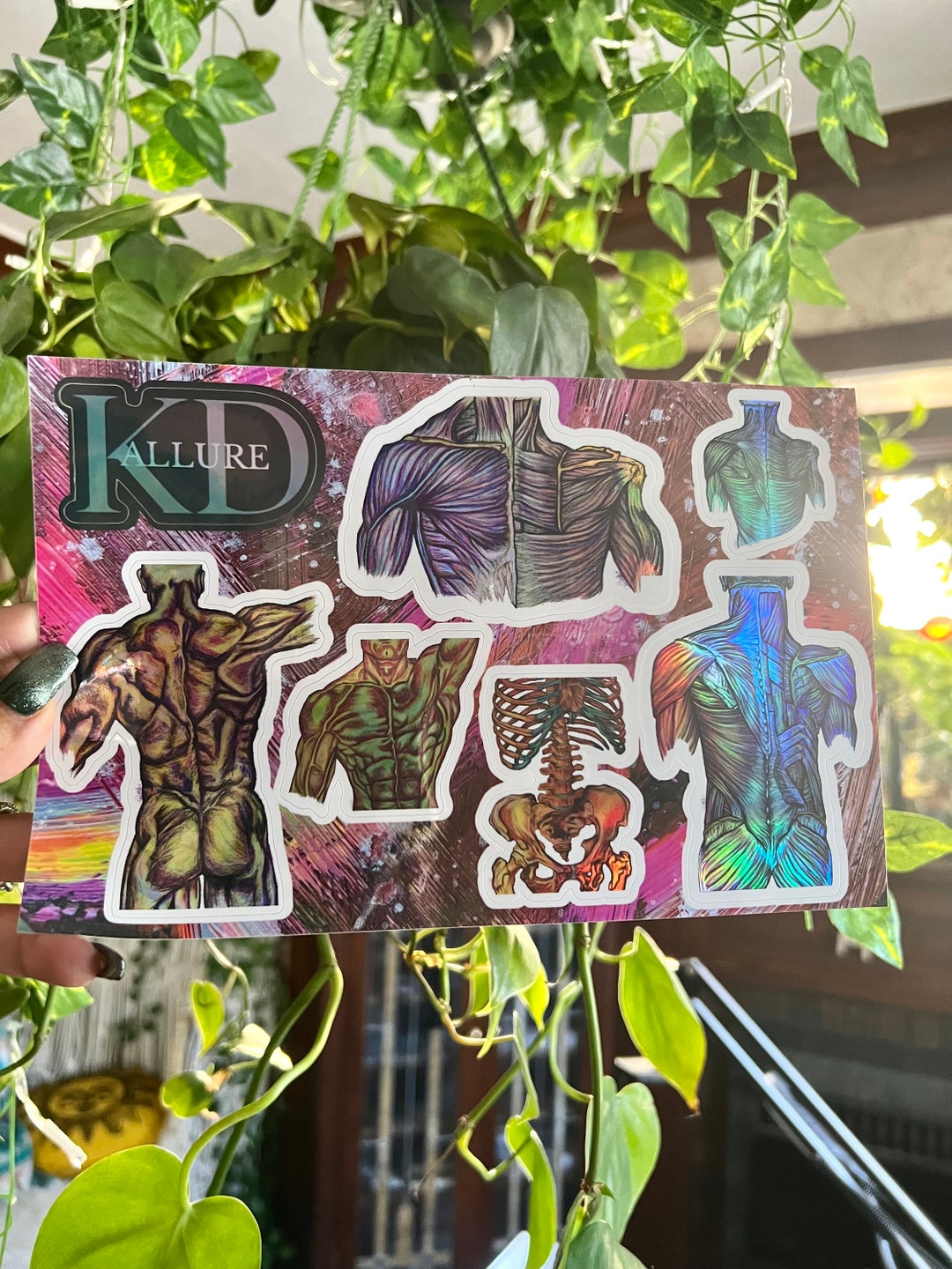 Anatomy Sticker - Sticker Pack Sticker Sheet, Skeleton, Anatomy ...