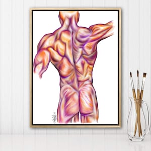 Surface anatomy of back-Vibrant Colors,Digital Hand Drawn Art, iPad Drawing, Anatomy Illustration, Medical Print, Anatomy Print, Doctor Gift