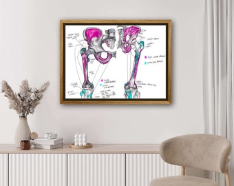 Origins and insertions of muscles of hip thigh-Vibrant Colors,Digital Hand Drawn Art, iPad Drawing, Anatomy Illustration, Anatomy Print