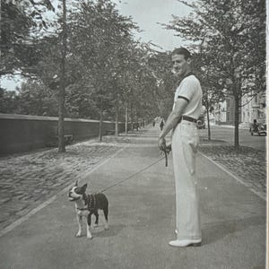 Foto d'epoca - New York - Anni '50 - Central Park - Boston Terrier - Originale