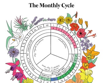 The Monthly Cycle of Women - Digital Download