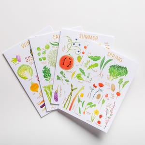 Könnte beinhalten: Vier saisonale Kunstdrucke mit Aquarellillustrationen von Obst und Gemüse. Jeder Druck ist mit einer Jahreszeit beschriftet: Winter, Herbst, Sommer und Frühling. Die Illustrationen zeigen eine Wassermelone, Spargel und Erdbeeren.