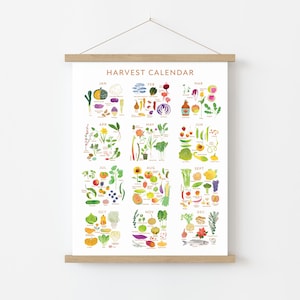 Könnte beinhalten: Ein "Erntekalender"-Druck mit Aquarellillustrationen von saisonalen Produkten. Der Druck wird auf weißem Hintergrund angezeigt und von einem Holzrahmen gehalten. Der Kalender ist nach Monaten geordnet und zeigt verschiedene Obst- und Gemüsesorten.