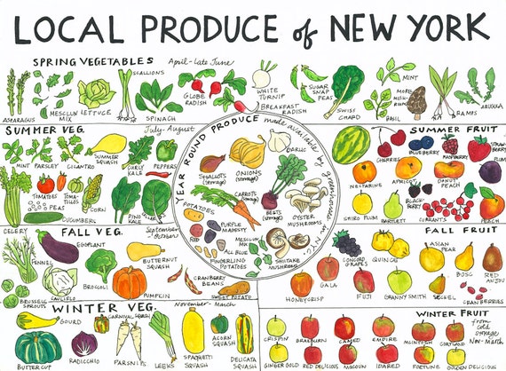 Fruit Season Chart New York