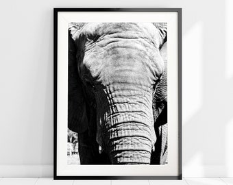 Elephant Face Photography Print, Black and White Elephant Trunk Photo Print, African Inspired Wall Decor, Elephant Poster, Safari Animal Art