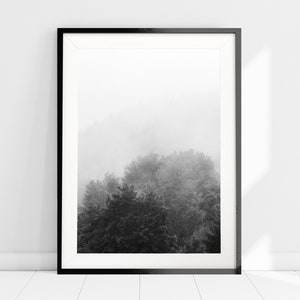 May include: A black and white photograph of a foggy forest scene framed in a black frame. The trees are silhouetted against the white fog.