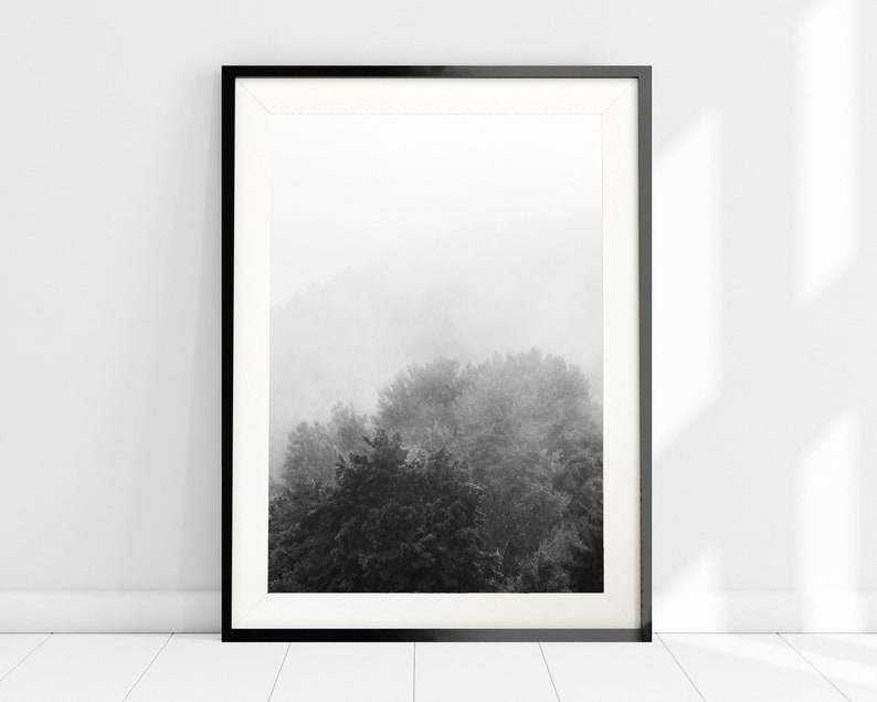 May include: A black and white photograph of a foggy forest scene framed in a black frame. The trees are silhouetted against the white fog.