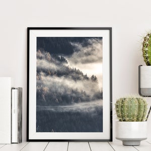 May include: A black framed photograph of a forest scene with fog rolling through the trees. The fog is white and the trees are dark green. The photograph is hanging on a white wall.