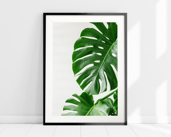 Tropical Plant Art Print, Monstera Leaf Wall Art, Palm Leaf Print,  Minimalist Wall Art, Modern Boho Home Decor, Swiss Cheese Plant Print - Etsy