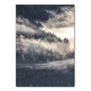 May include: A misty forest scene with layers of fog rolling through the trees. The trees are dark green and the fog is white and gray.