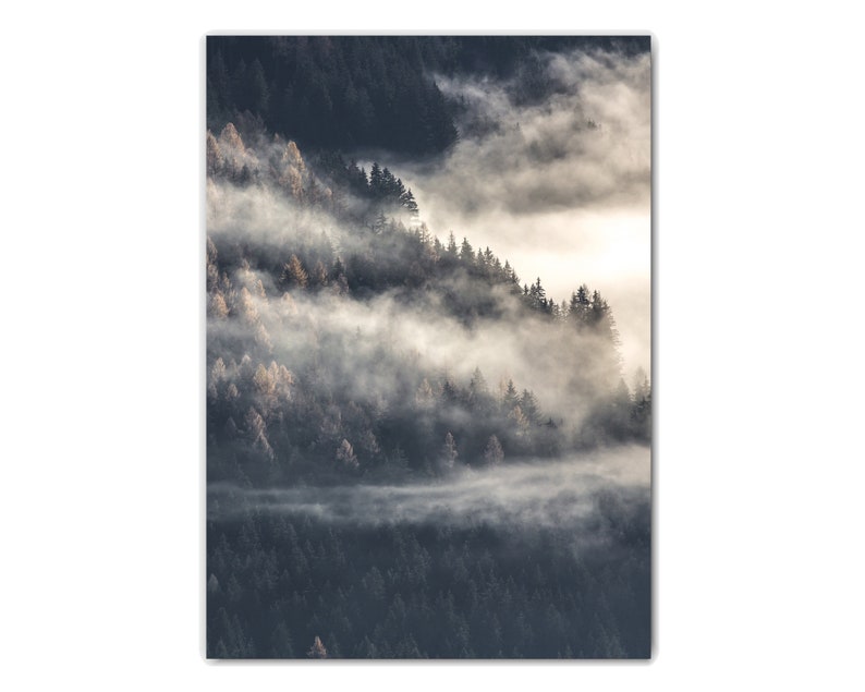 May include: A misty forest scene with layers of fog rolling through the trees. The trees are dark green and the fog is white and gray.