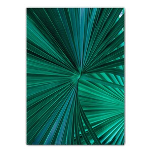 Op de afbeelding: Close-up van een levendig groen palmblad met een radiaal patroon van dunne, puntige bladeren.