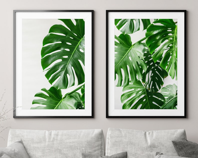 May include: Two framed prints of large, green monstera leaves against a white background.