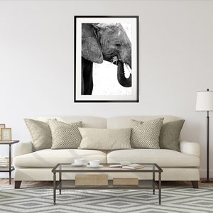 May include: Black and white photograph of an elephant's head and trunk, framed in a black frame. The elephant is facing the left side of the image and has its trunk raised.