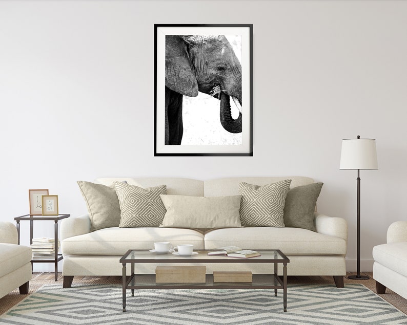 May include: Black and white photograph of an elephant's head and trunk, framed in a black frame. The elephant is facing the left side of the image and has its trunk raised.
