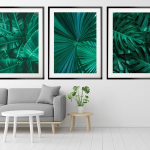 May include: Three framed prints of tropical green leaves. The prints are in black frames and are hanging on a white wall.