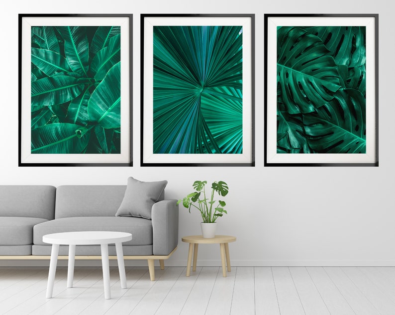 May include: Three framed prints of tropical green leaves. The prints are in black frames and are hanging on a white wall.