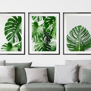 Monstera Leaf Print Set of 3, Large Leaf Prints, Palm Leaf Wall Art, Tropical Leaf Prints, Botanical Art Set, Swiss Cheese Plant Print Set