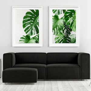May include: Two framed prints of large green monstera leaves against a white background, hanging above a black sofa and ottoman in a modern living room.