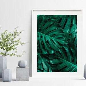 May include: A framed print of a close-up of large, dark green monstera leaves.