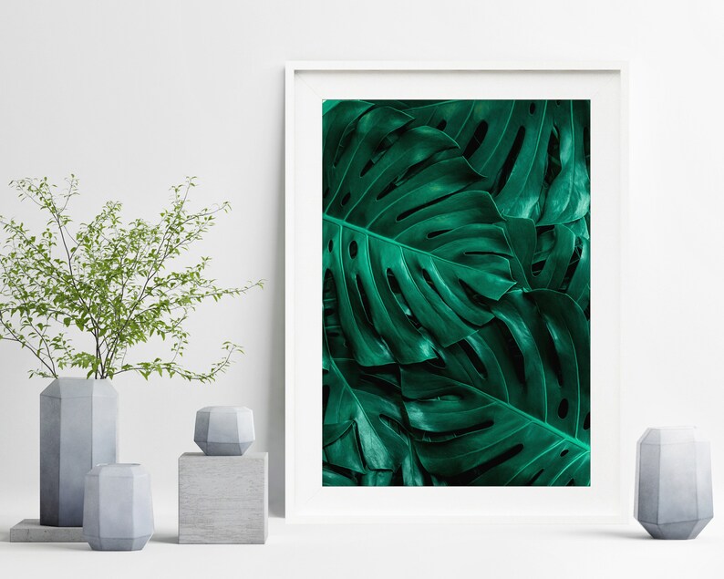 May include: A framed print of a close-up of large, dark green monstera leaves.