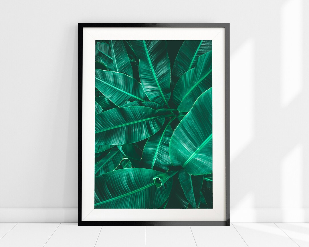 Tropical Leaf Plant Art Print, Botanical Print Wall Art, Palm Leaves ...