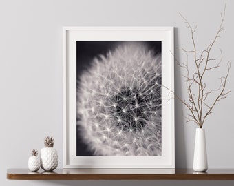 Dandelion Black and White Print, Minimalist Botanical Wall Art, Close Up Flower Photography for Stylish Wall Decor